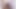 Girlfriend sucking