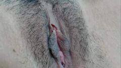 Hairy pussy up close