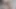 Tutor4k. İngiliz hoca bilmiş gibi kirazını traş etti
