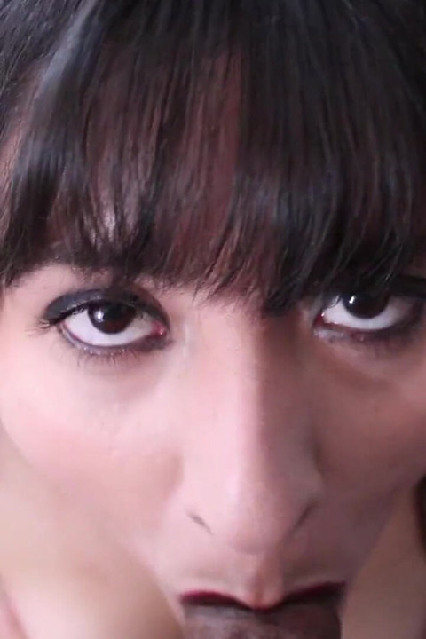 Pornstar Sucks off the Camera Man