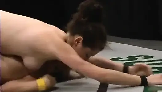 Laba-laba vs. kat