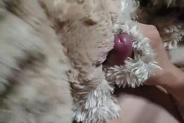 japanese fur masterbation 02