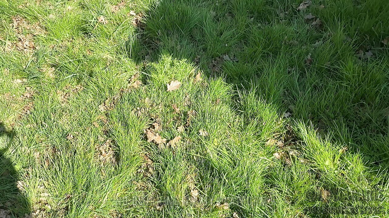 Conejitos De Pascua