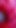 Key moment from "Juicy beautiful pussy squelches inside ASMR close-up inside the anus"