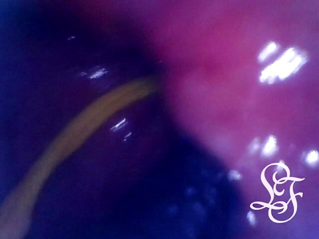 I love looking INSIDE my ass