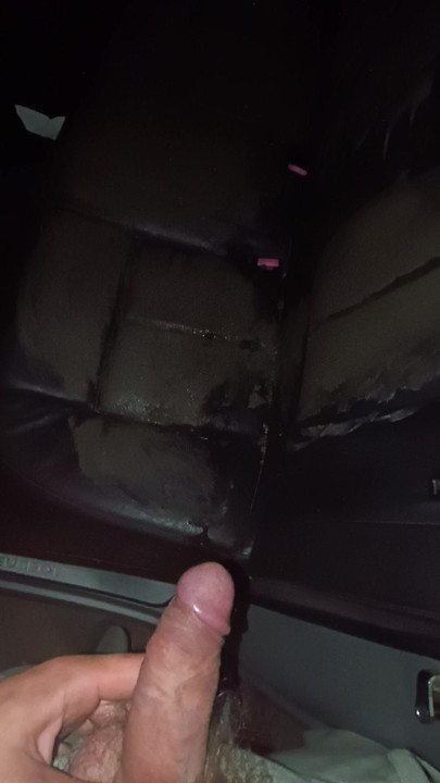 my lovely pissing on muddy car seats