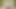 Russians Regina Moonshine and Nika Get Naked and Finger Fuck Each Other in VR