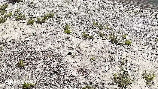 Aku ketemu sama cewek di hutan dan kami akhirnya ngentot