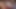 縛られたブルネットの美女が激しいハードコアBDSMセックスに耐える