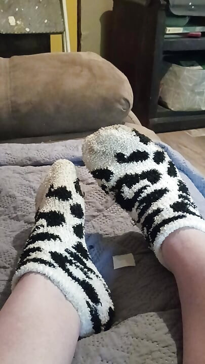 Quit stealing my socks jack