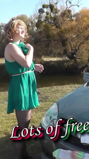 Pregled videozapisa