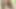 Sexpot Nicole Aniston gets creampied in her backyard