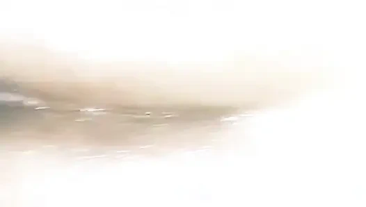 Indischer desi bhabi blowjob und arschficken 2026