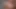 PassThroughVR Nicole Aria Cum Over To Congratulate You On Your Scholarship To The Ivy League