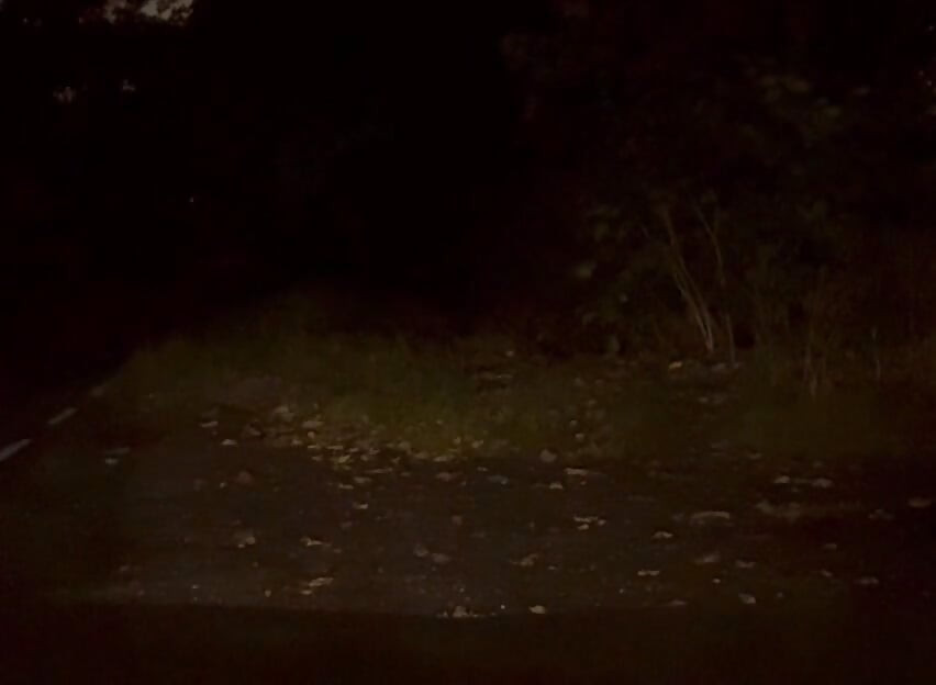 Wanking naked outside in road , few cars pass