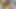 TsLanaDallas.com Preview