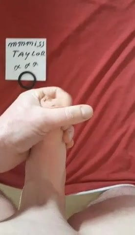 Tribute # 262