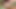 Paradise jungle steamy love making