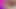 BIG COCKS GAY FUCK JOCKER'S COCK - HOT TRANS