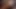 Темноволосая грудастая телочка Lisa Ann пробурена возбужденным профессором колледжа