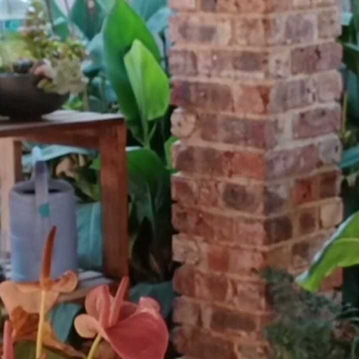 הביביסיטר הפרועה של Bigjoefuckalot