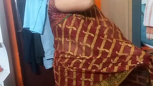 Индийская бхабхи носит красивую сари.