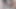 Loba Fucked Doggy Style Apex Legends