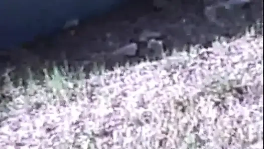 Cewek seksi di taman pendek tapi manis mendesis