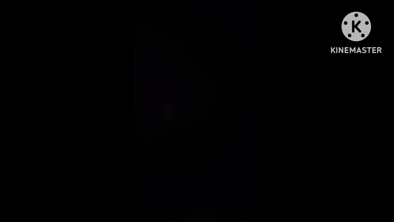 Stepister biggest body highest level energy no slow motion full activity romance Desi style
