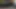 Asian big Black Cock cum shot close up