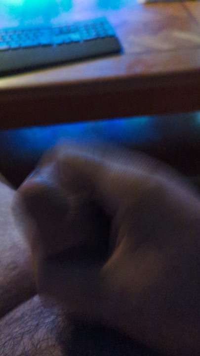 Jerkin