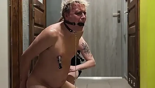Femdom. Bir dominatrix'in seks kölesi. Kelepçeli, yarağı bağlı, diş macunu üstüne bulanıyor ve idrarla kaplı.