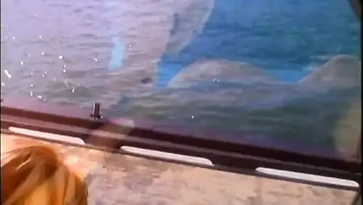 Lezbiyen genç sürtükler amcıklarını yalıyor