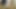 हैप्पी रीना 1-by packmans