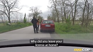 Fake Cop