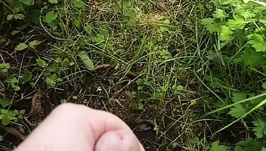 Parkta hızlı pislik