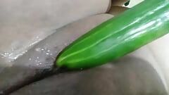 fucking big pussy with cucumber