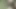 I was naked near the field and touched my cock