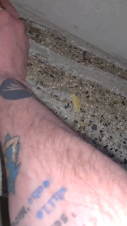 Must-share moment from "I do everything the master orders: I eat pubic hair, cigarette butts, dirt on the street"