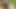 Sexyvee nữ hoàng phun nước mạnh bạo