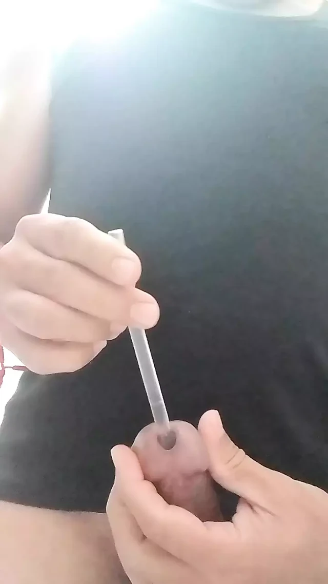 sounding cock