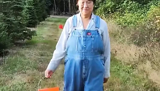 Time to Pick Blackberries