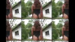 Pratinjau video
