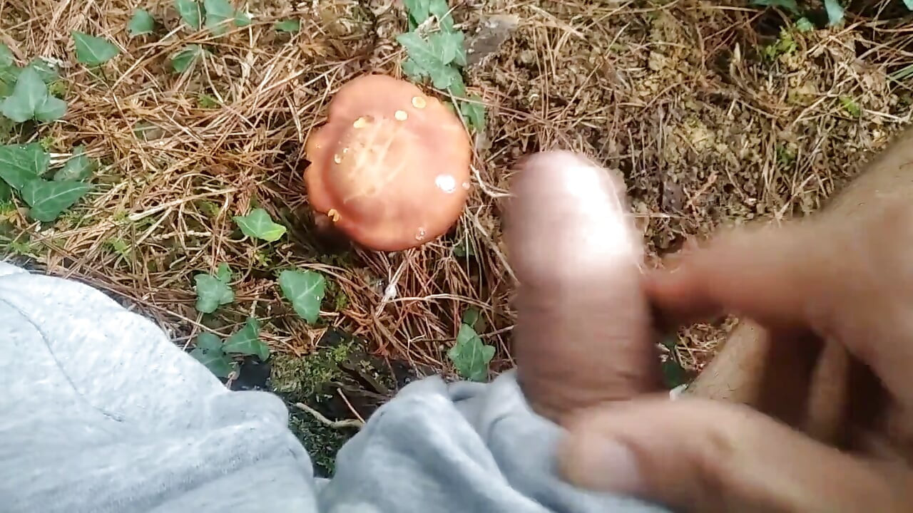 Hiker Takes Out His Dick Looking for Mushroomsand Unloads Semen in One of Them