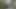 Blowjob in the woods with horny fuck in doggy