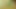(mlp) Lyras anderes bevorzugtes menschliches Anhängsel