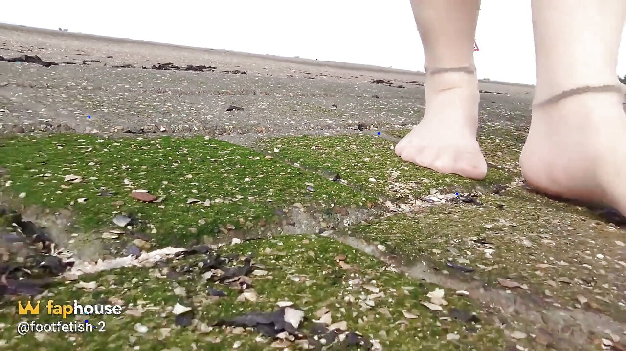 In Fine Stockings in the Wadden Sea of Wangerland