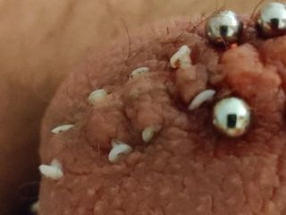 Novos piercings de guiche e escrotal