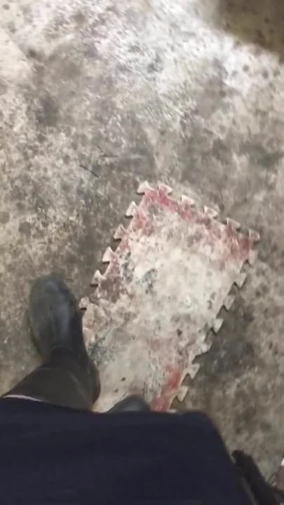 Wellington stövlar och strumpor