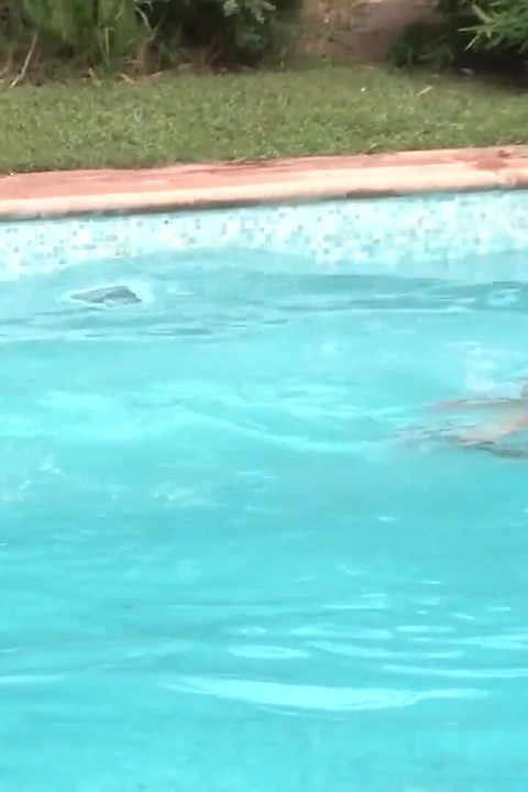 Exclusive video Bareback: Great outdoor fuck between hot and sexy horny guys